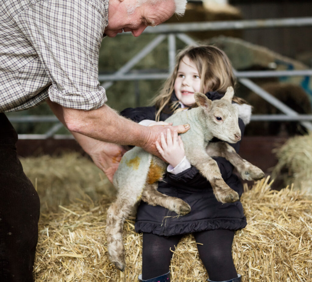 CCTV system protecting livestock and farm assets.